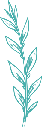 Tall aquamarine leaf